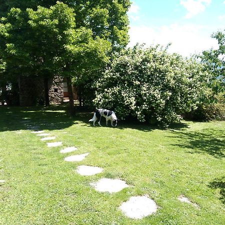 Casa Mezzuola Agriturismo Villa Greve in Chianti Buitenkant foto