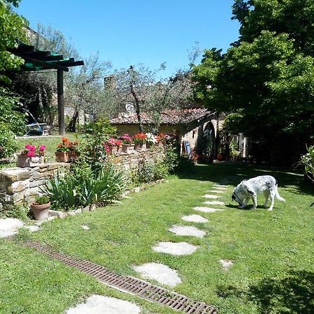 Casa Mezzuola Agriturismo Villa Greve in Chianti Buitenkant foto