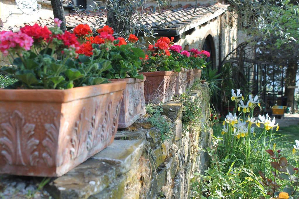 Casa Mezzuola Agriturismo Villa Greve in Chianti Buitenkant foto