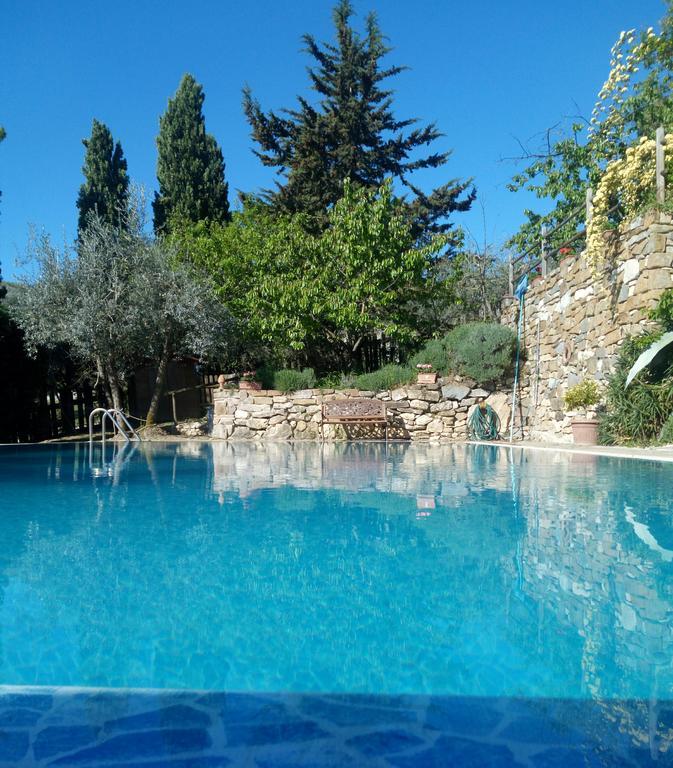 Casa Mezzuola Agriturismo Villa Greve in Chianti Buitenkant foto