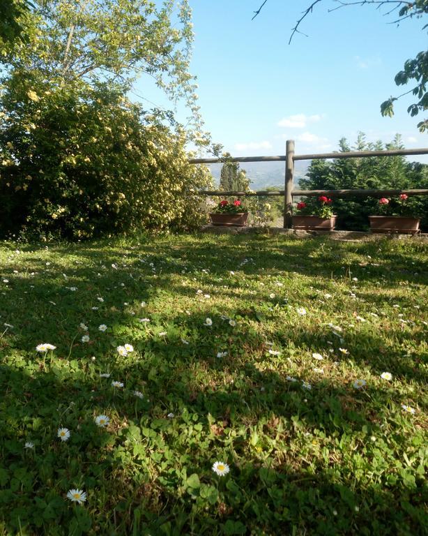 Casa Mezzuola Agriturismo Villa Greve in Chianti Buitenkant foto