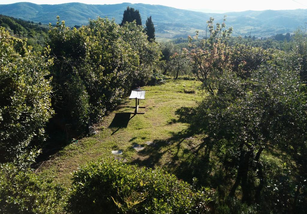 Casa Mezzuola Agriturismo Villa Greve in Chianti Buitenkant foto