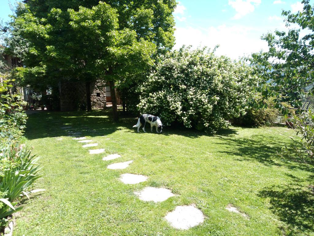 Casa Mezzuola Agriturismo Villa Greve in Chianti Buitenkant foto