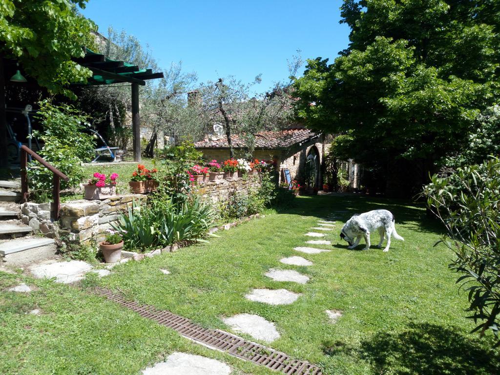 Casa Mezzuola Agriturismo Villa Greve in Chianti Buitenkant foto